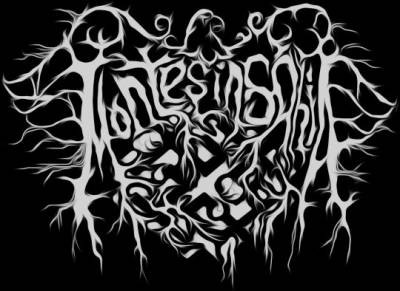 logo Montes Insania logo Montes Insania